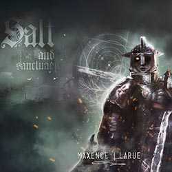 Salt and Sanctuary PC Free Download (Build 21941632)