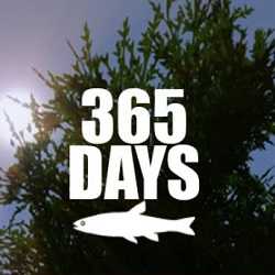 365 Days PC Game Free Download