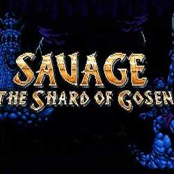 SAVAGE The Shard of Gosen PC Game Free Download