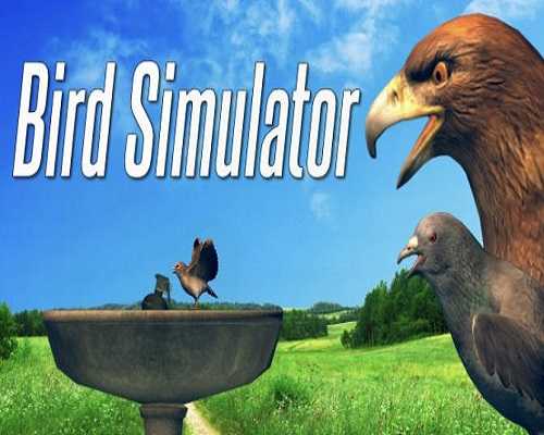 Bird simulator pc game free download