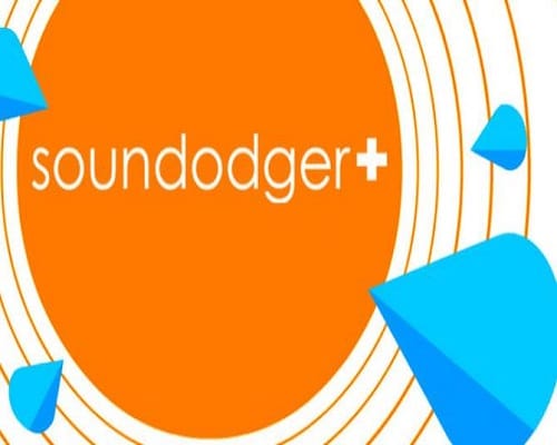 Soundodger+ pc game free download