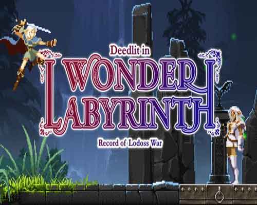 Record of lodoss war deedlit in wonder labyrinth free