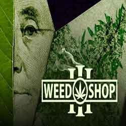 Weed Shop 3 PC Free Download (Build 17276443)