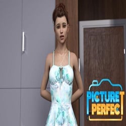 Picture Perfect PC Game Free Download