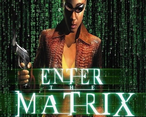 Enter the matrix pc game free download