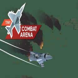 Tiny Combat Arena Free Download (v0.17.2.3)