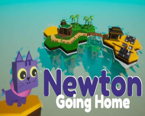 Newton Going Home PC Game Free Download