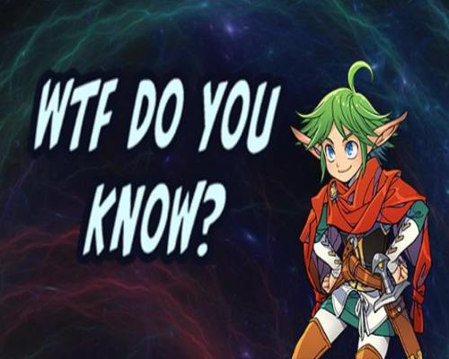 Wtf do you know pc game free download