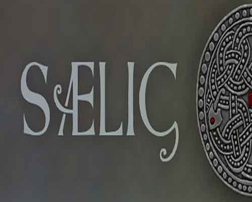 Saelig pc free download (build 21939113)