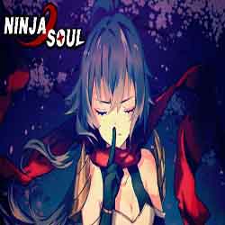 Ninja Soul PC Game Free Download