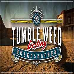 Tumbleweed Destiny PC Game Free Download
