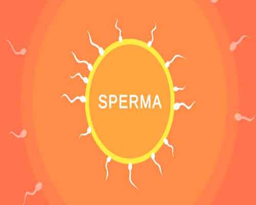 Sperma pc game free download