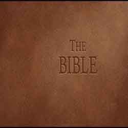 The Bible PC Game Free Download (Build 14535264)