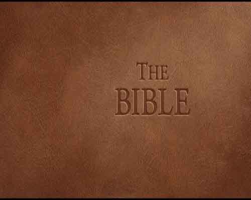 The bible pc game free download (build 14535264)