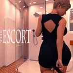 The Escort Special Edition PC Free Download (v1.01)