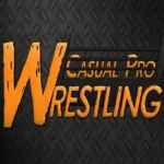 Casual Pro Wrestling PC Free Download
