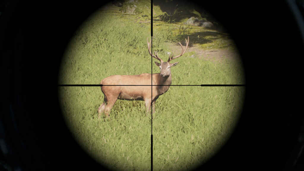 Project hunt free download (trophy museum)