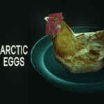 Arctic Eggs PC Free Download (Build 18492481)