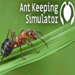 Ant Keeping Simulator PC Free Download
