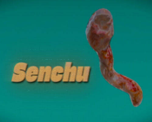 Senchu/線虫 PC Free Download