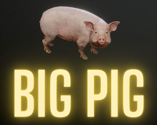 Big Pig PC Free Download (Build 16607505)