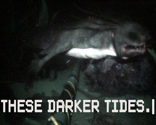 These Darker Tides PC Free Download (Tenoke)