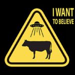 I Want to Believe PC Free Download (Goldberg)