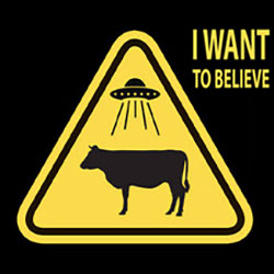 I Want to Believe PC Free Download (Goldberg)