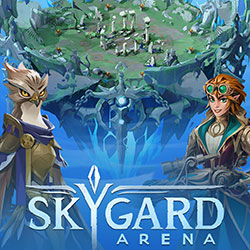 Skygard Arena PC Free Download (Tenoke)