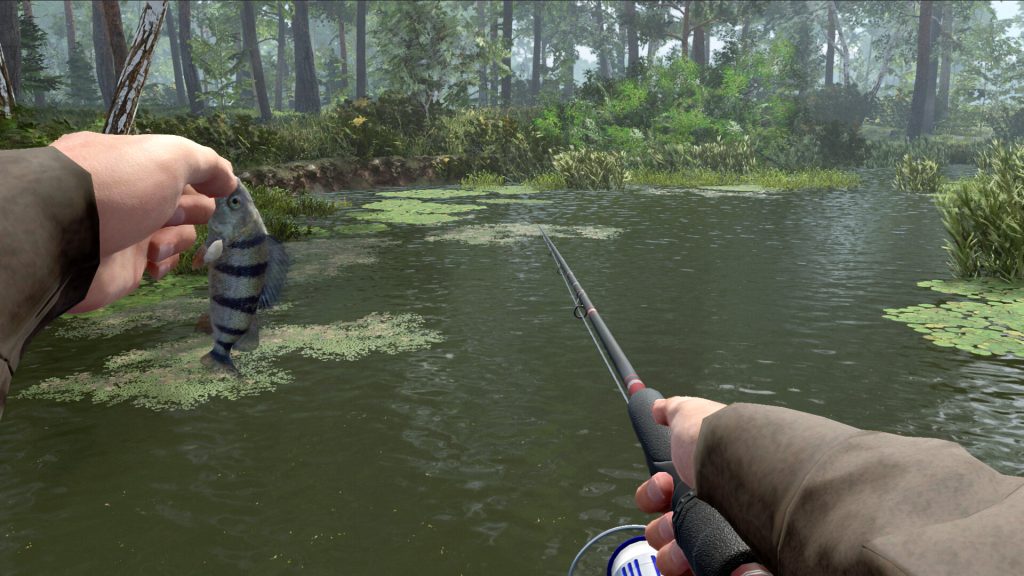 Professional fishing 2 pc free download (build 20613992)