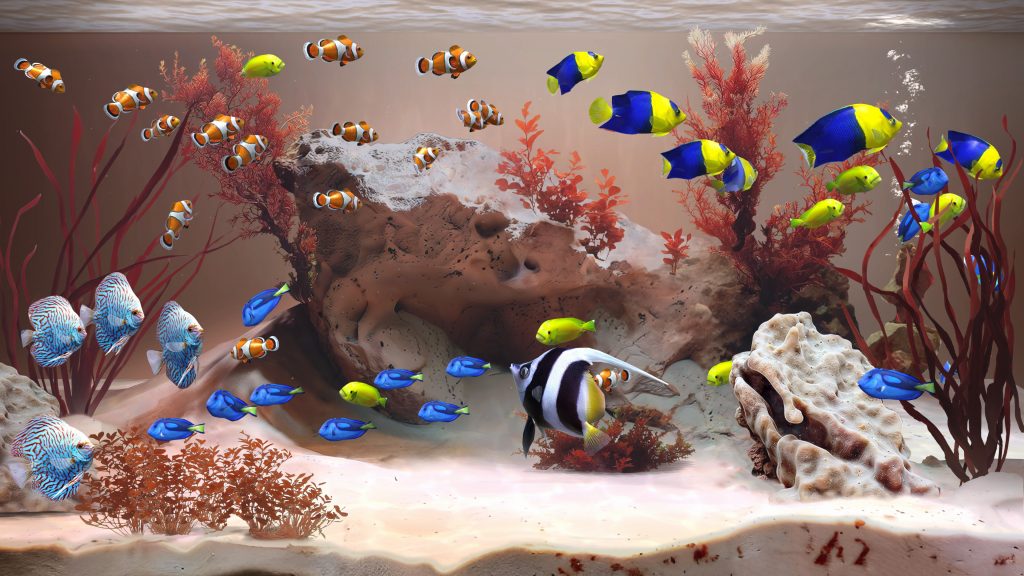 Zen aquarium pc free download (final)