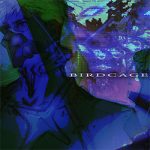 BIRDCAGE PC Free Download (Final)