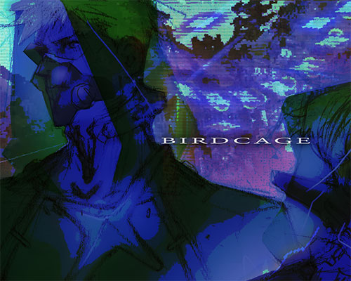 Birdcage pc free download (final)