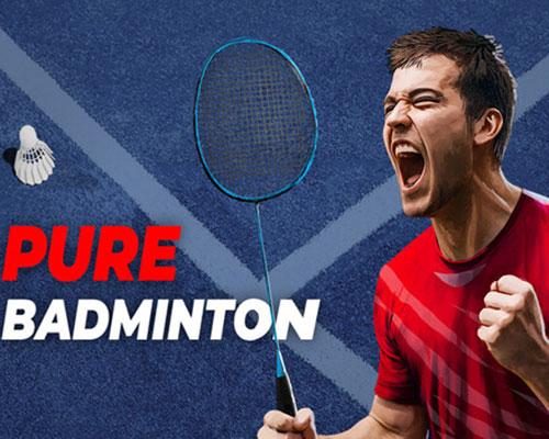 Pure badminton pc free download (tenoke)