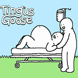 Tingus Goose PC Free Download (Tenoke)