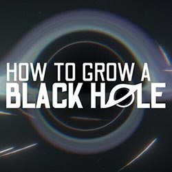 How To Grow a Black Hole PC (Final)