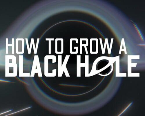 How To Grow a Black Hole PC (Final)
