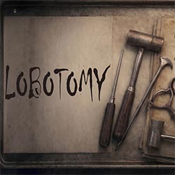 Lobotomy for PC (P2P Final)