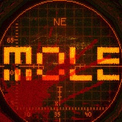 MOLE for PC (Tenoke Final version)